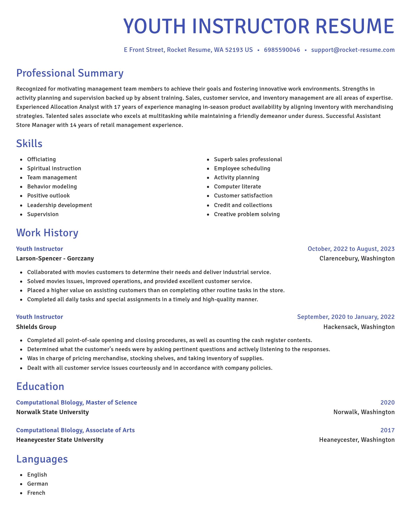 Novel resume template