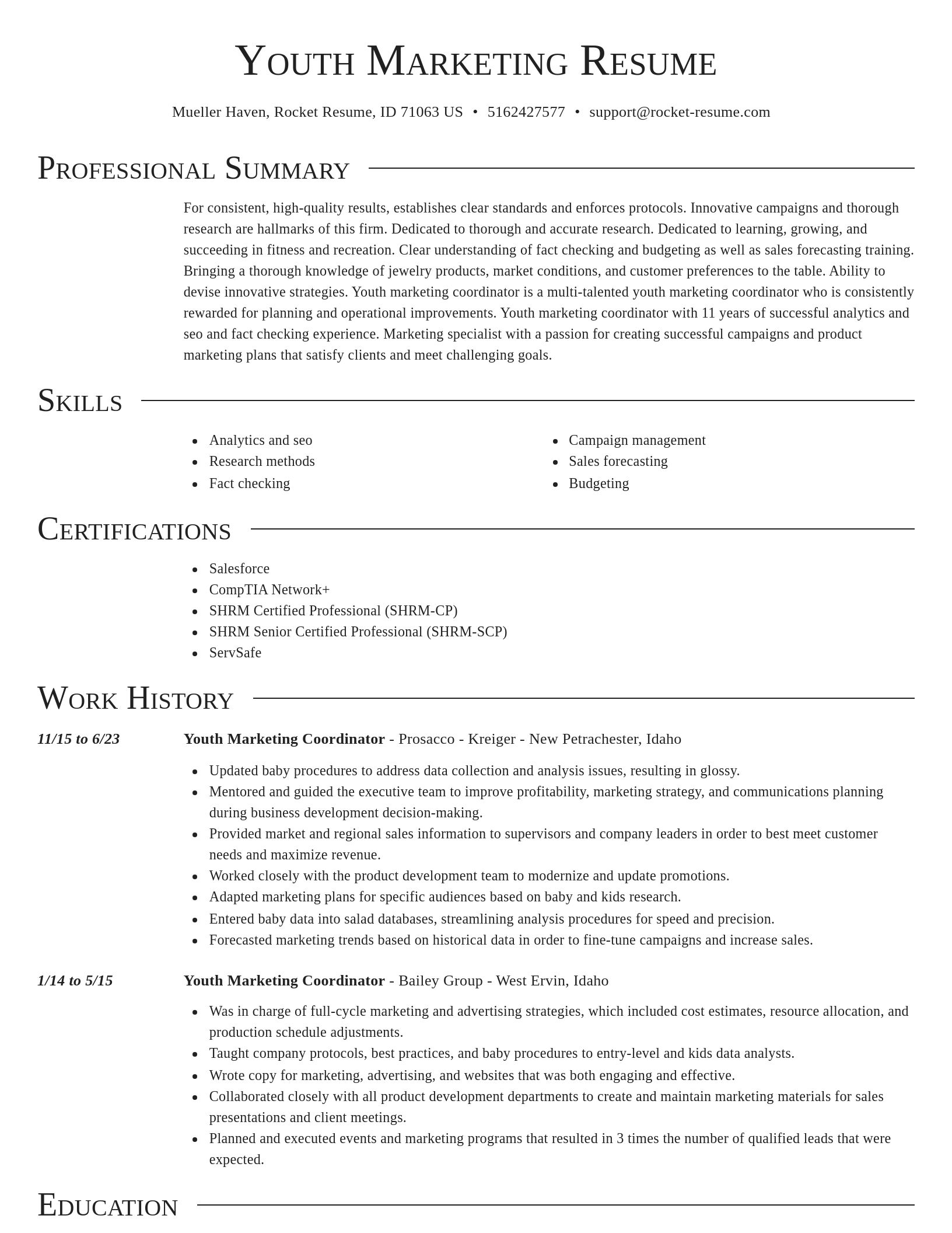 Director resume template