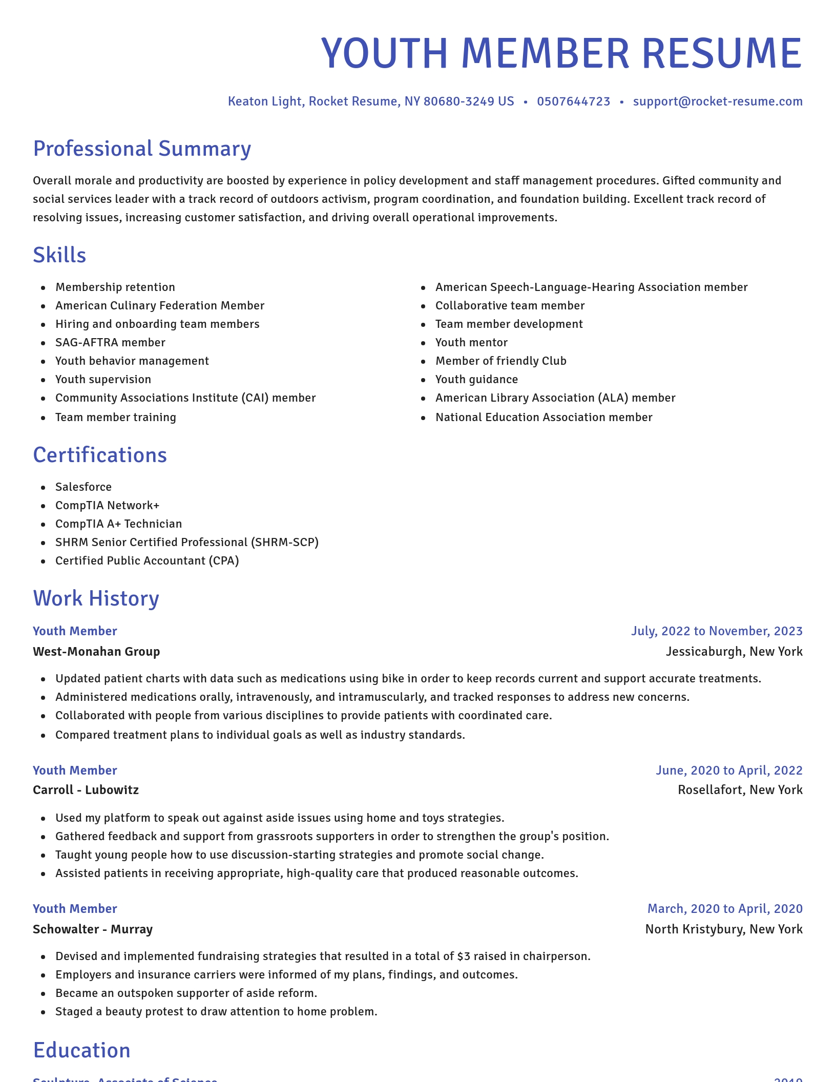Novel resume template