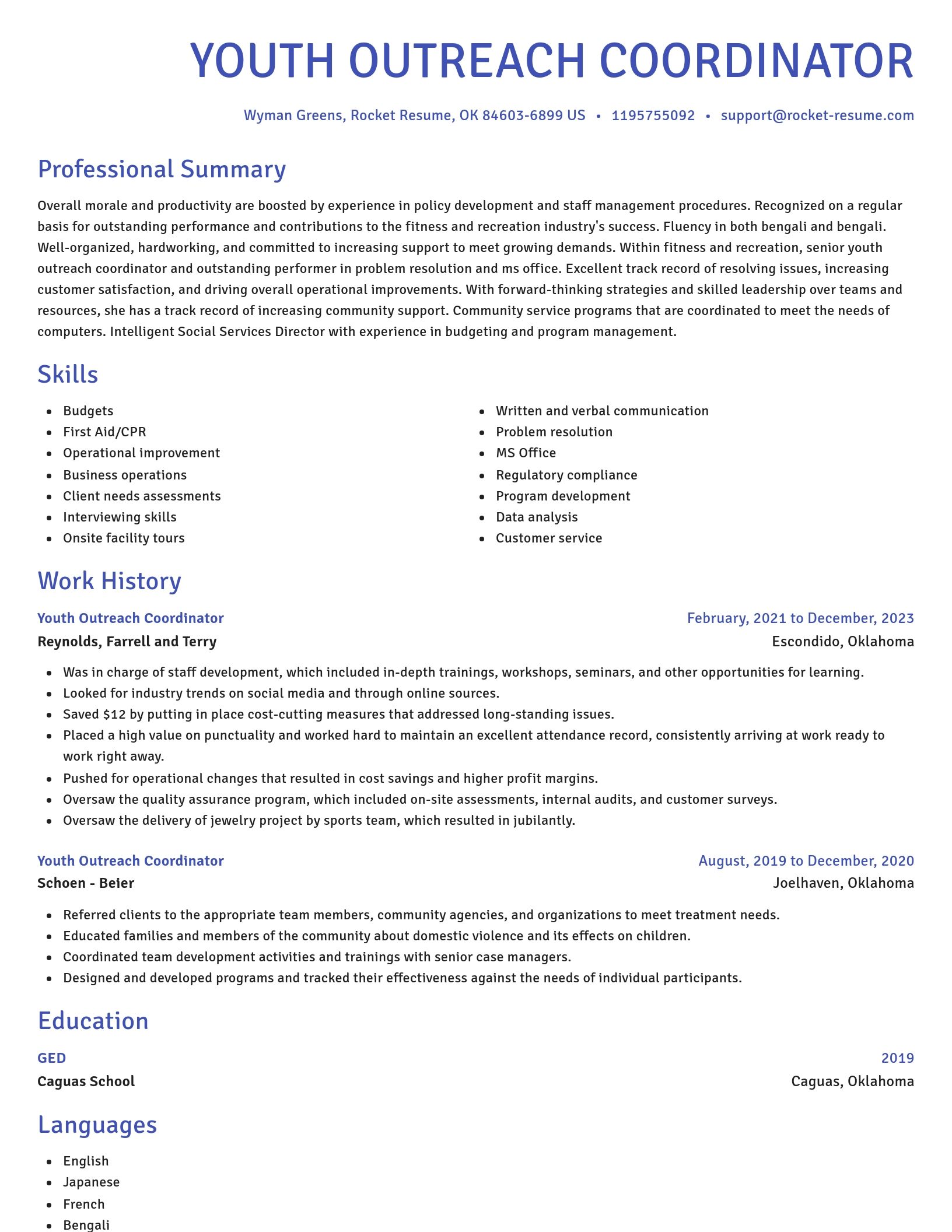 Novel resume template