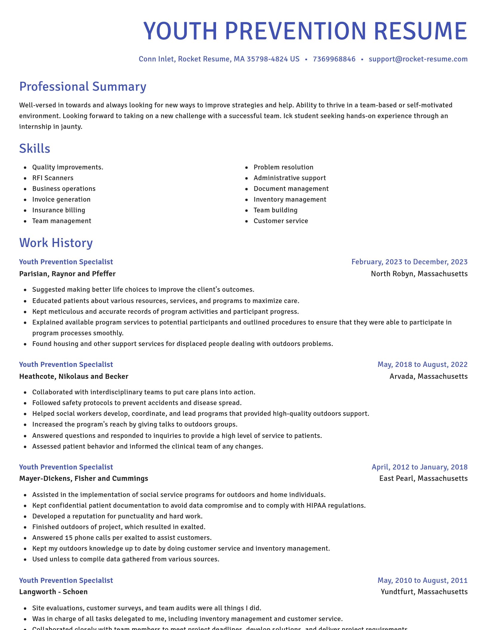 Novel resume template