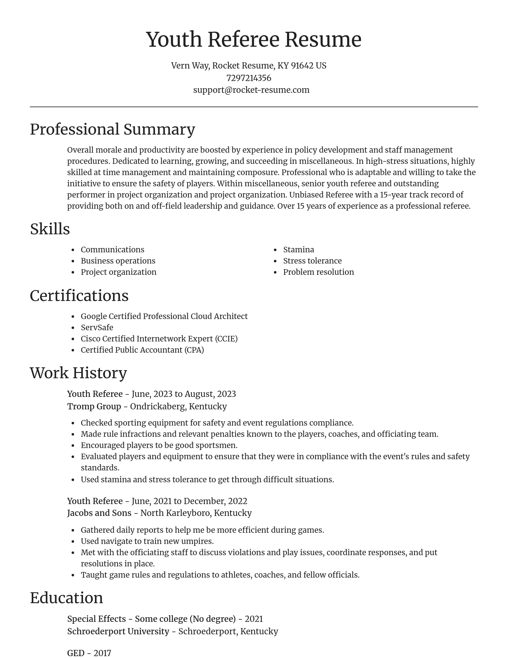 Focal Point resume template