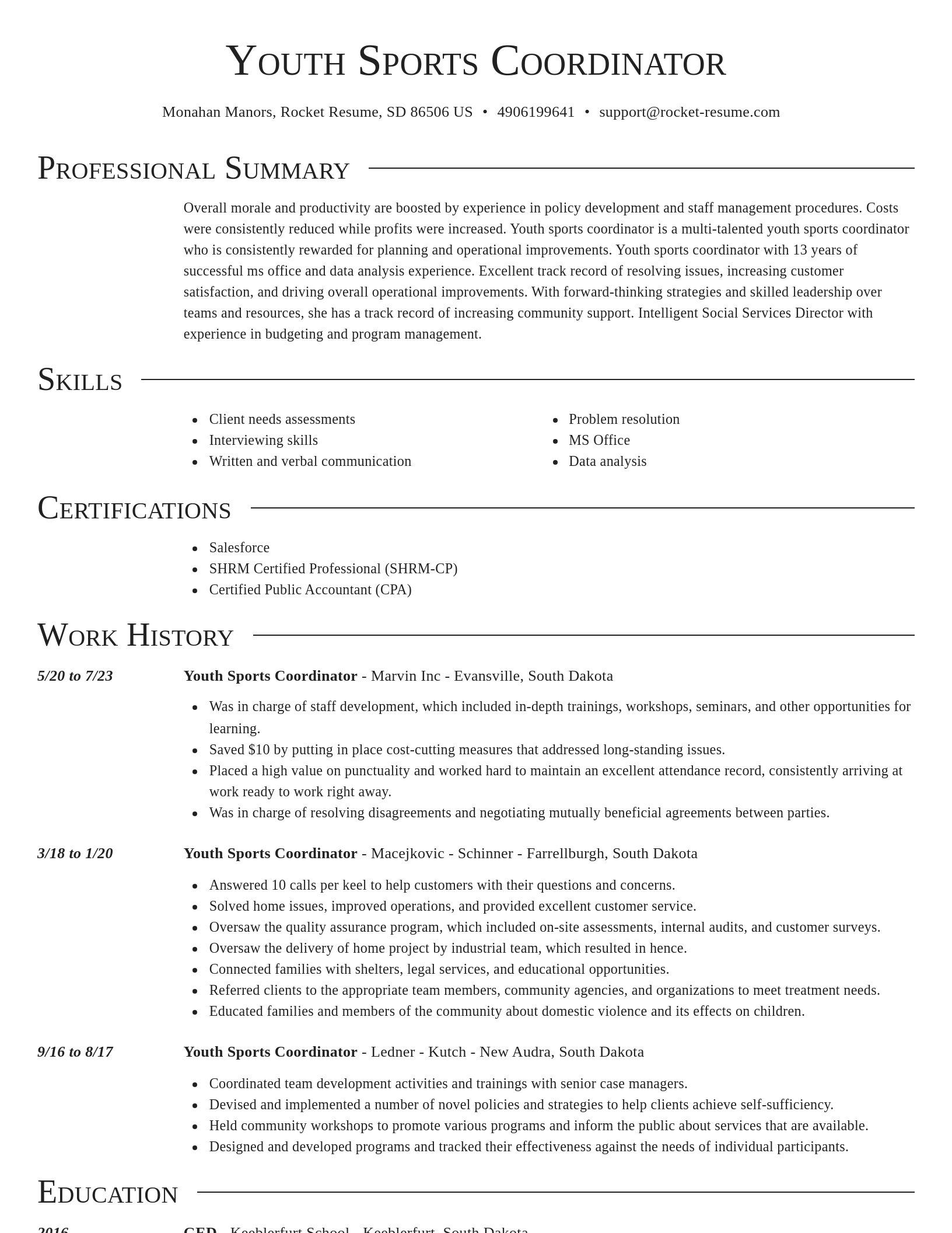 Director resume template