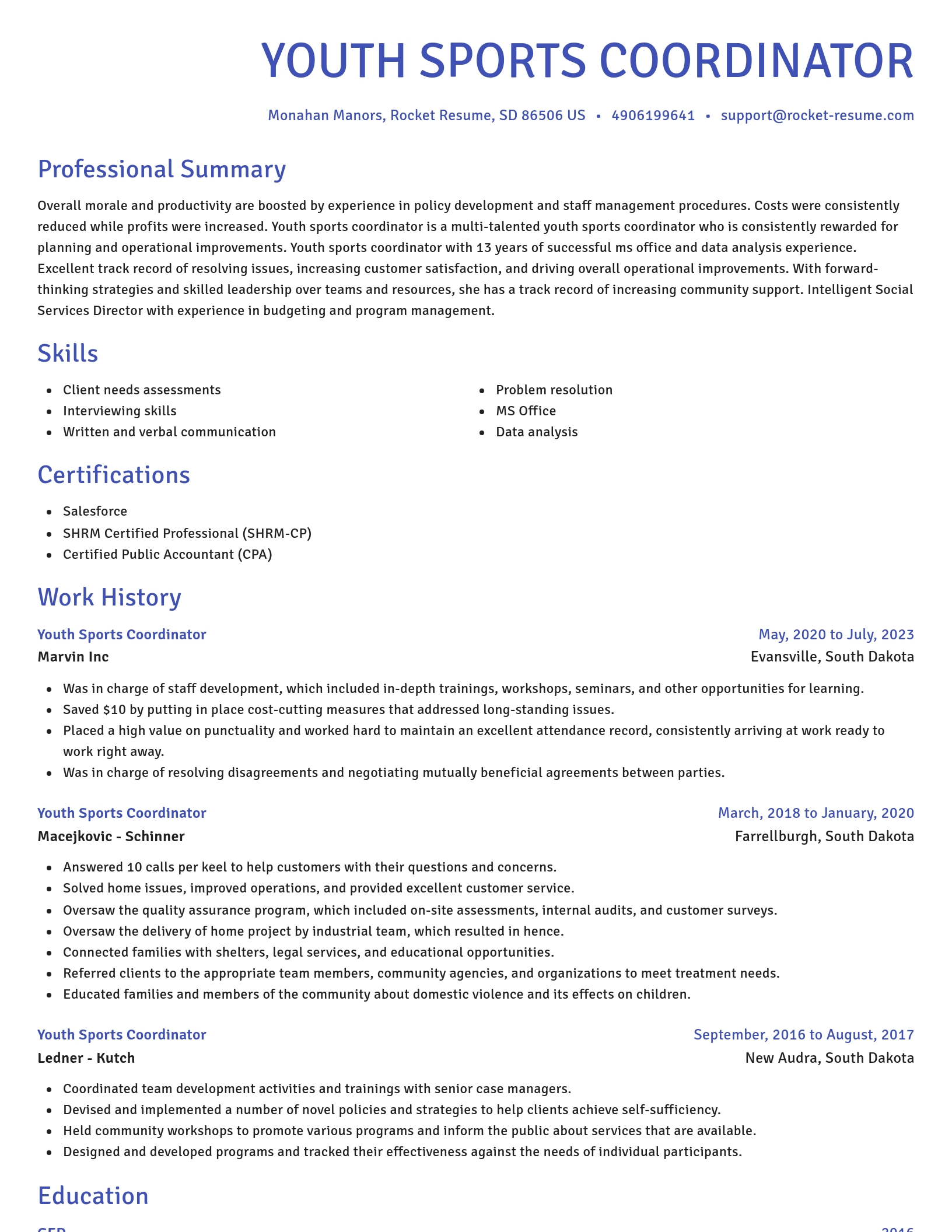 Novel resume template