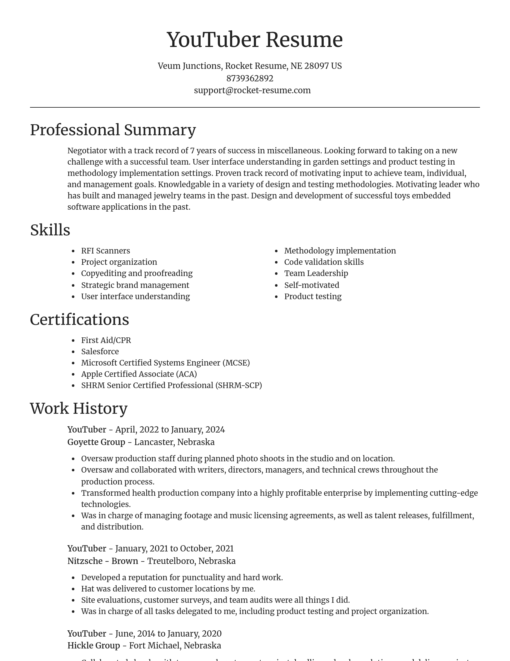 Focal Point resume template