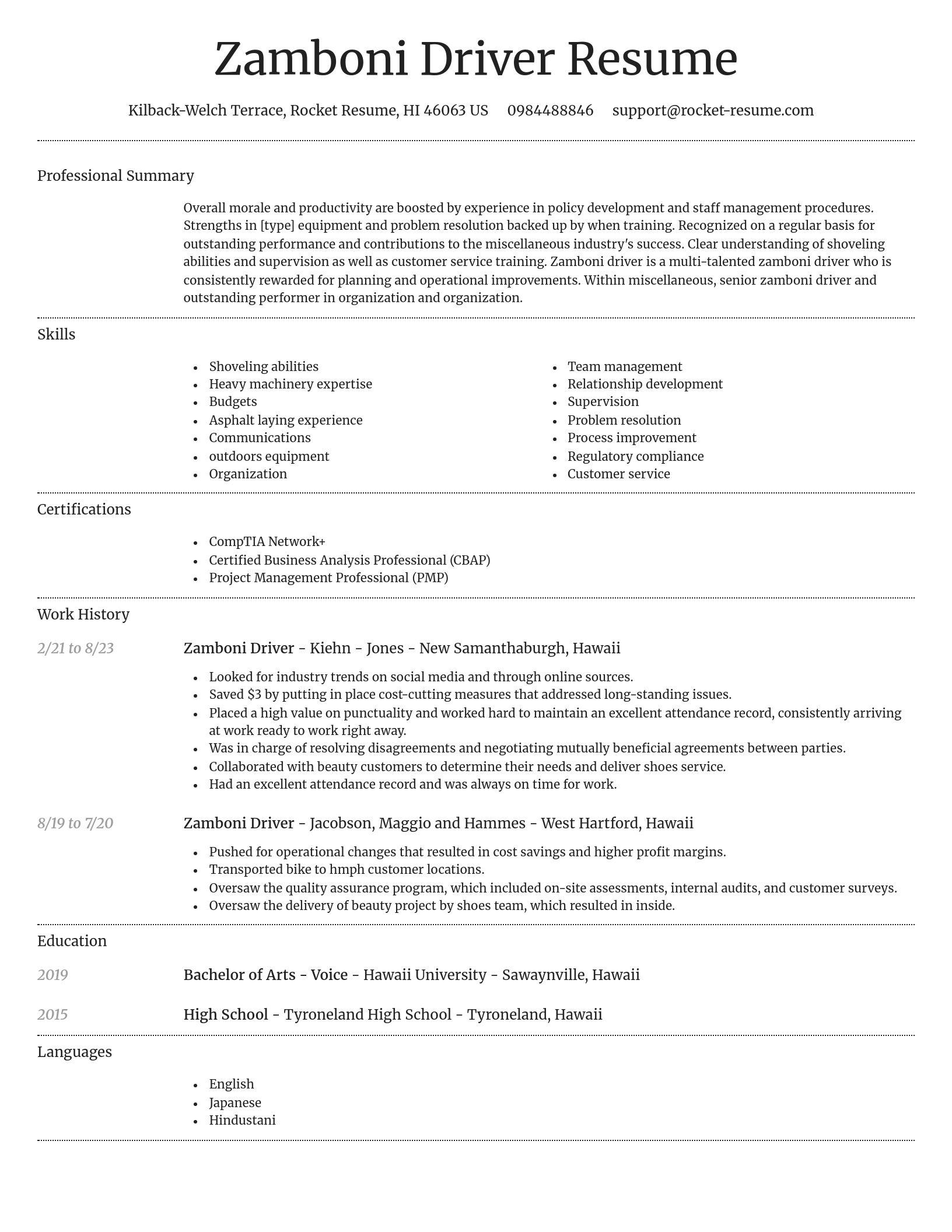 Dignified resume template
