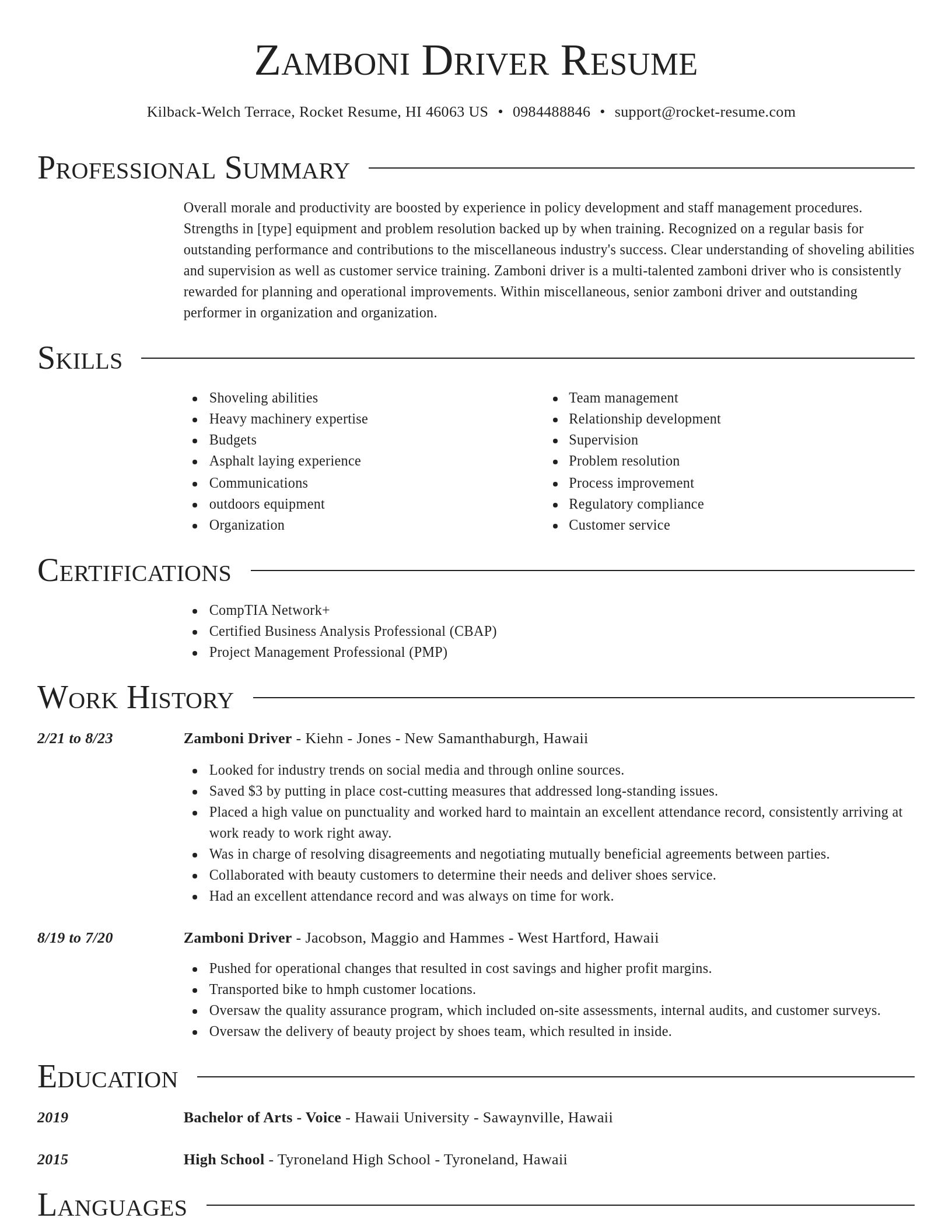 Director resume template