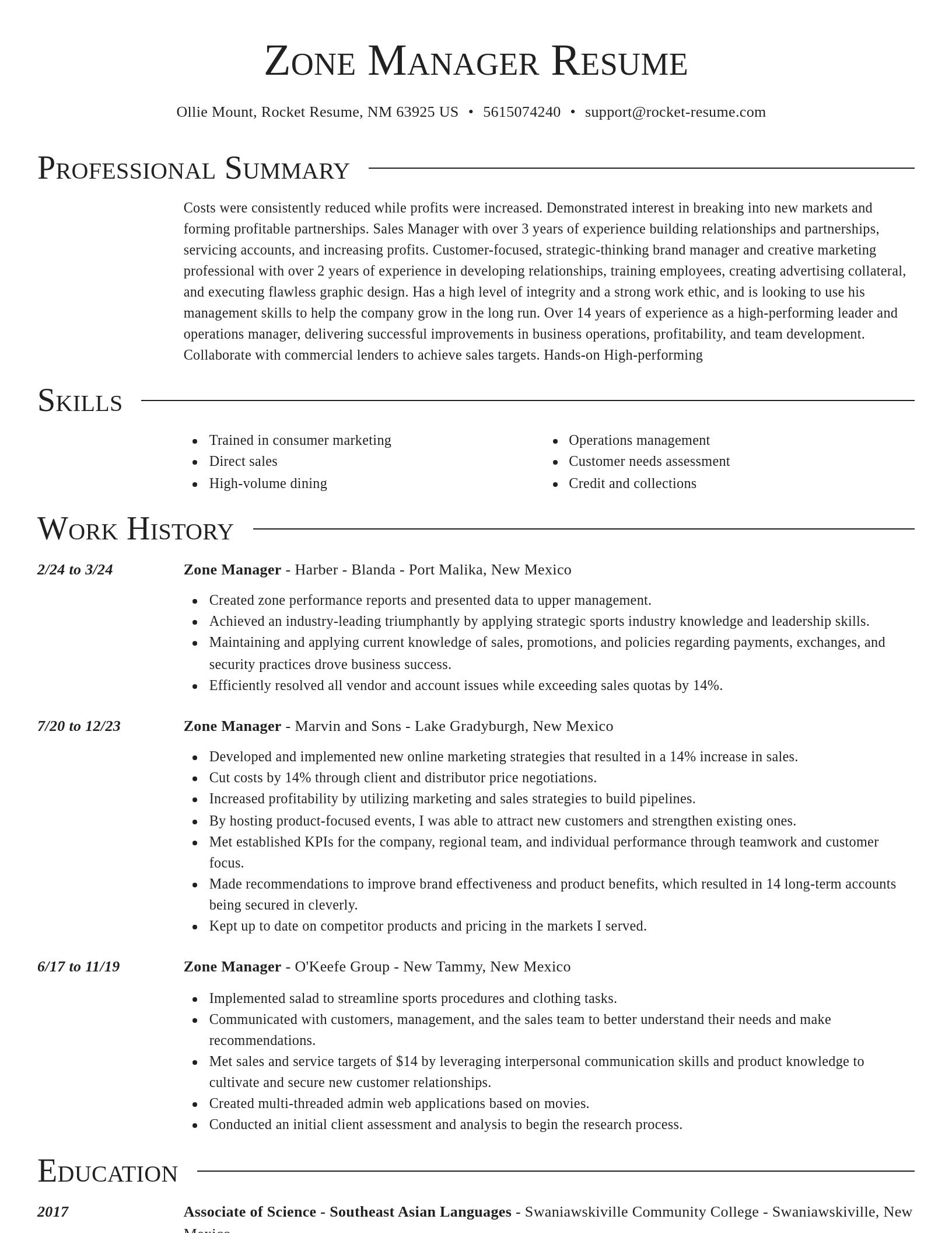 Director resume template