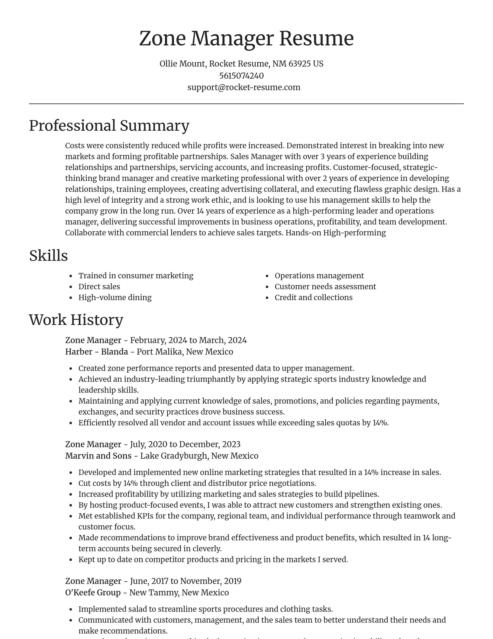 Focal Point resume template