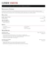 Resume template example