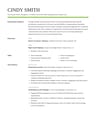 Resume template example